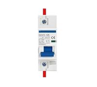 Disjoncteur miniature solaire photovoltaïque 1P DC250V, petit disjoncteur DC, interrupteur de production d'énergie photovoltaïque 63A 16A 40A 32A 125A(100A)