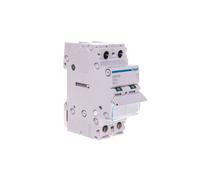 Disjoncteur modulaire 125A 2P SBN299 SBN