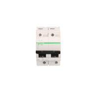 Disjoncteur modulaire 2P C 80A 10kA AC C120N Acti9 A9N18361