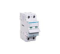 Disjoncteur modulaire 63A 2P SBN263 SBN