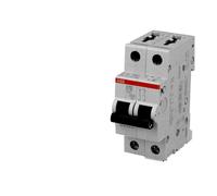 Disjoncteur Modulaire ABB 10A 2P S202-C10