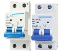 Disjoncteur NB1Z-63 NB1-63H 1P 2P 10A 16A 20A 25A 32A 40A 50A 63A, 1 pièce(1P,NB1-63H,63A)