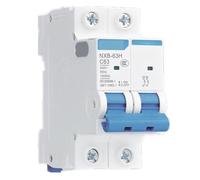 Disjoncteur NXB-63H 2P 10 kA : 1 A, 2 A, 3 A, 4 A, 16 A, 6 A, 10 A, 20 A, 25 A, 32 A, 40 A, 50 A, 63 A(20A)
