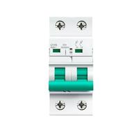 Disjoncteur principal bipolaire for rail DIN 400 VCA DP GYH8 Protection des circuits(63A)