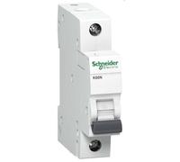 Schneider Electric A9K01116 coupe-circuits Disjoncteur miniature Type B 1