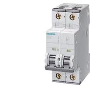 Disjoncteur Siemens 5SY4 - 5SY42066