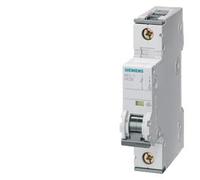 Disjoncteur Siemens 5SY6 - 5SY61017