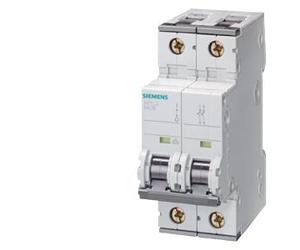 Disjoncteur Siemens 5SY6 - 5SY65107