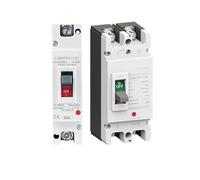 Disjoncteur Solaire À Boîtier Moulé DC MCCB 1P 2P, Protection Contre Les Surcharges, 125 A, 160 A, 200 A, 250 A, Isolateur De Batterie PV(100A,1P 250V)