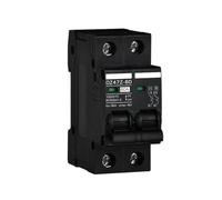 Disjoncteur solaire CC 1000 V, protection contre les surcharges, interrupteur de déconnexion 100 A, 120 A, 20 A, 25 A, 30 A, 40 A, 50 A, 60 A Protection des circuits(100A)