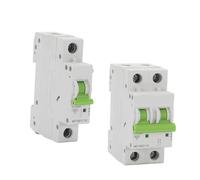 Disjoncteur Type D 1P 2P 6A 10A 16A 20A 25A 32A 40A 50A 63A 6KA 110V/220V/400V 50/60HZ, interrupteur de Protection contre les surintensités MCB(D1,1)