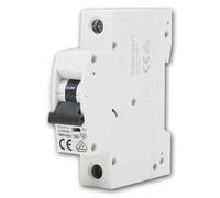 Disjoncteur Unipolaire 40A 1P Courbe B