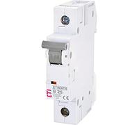 Disjoncteur unipolaire B 25 A LS Interrupteur différentiel FI