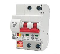 Disjoncteur WiFi 2P 25 A pour Smart Life - Interrupteur automatique - Protection contre les surcharges