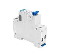 Disjoncteurs éLectriques Disjoncteur Miniature NXB-40 DPN DPNL 1P+N 6A 10A 16A 20A 25A 32A 40A 220V 230V 50HZ NOUVEAU DZ267(NXB-40 1P N,6A)