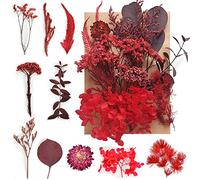 Disnace Fleurs Séchées Naturelles, Fleurs Naturelles Mélangées, Fleurs Pressées Séchées Vraies, Feuilles Florales Décoration pour Scrapbooking Bricolage Résine Époxy Mélange Bricolage (Rouge)