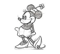 Disney AFWDC92281 Toile Imprimée, Bois Dense, Multicolore, 30 x 40 cm