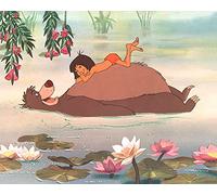 Disney AFWDC94370 Toile Imprimée, Multicolore, 40 x 50 cm