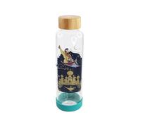 Disney Half Moon Bay Aladin - Bouteille d'eau en Verre (500 ML) Aladdin