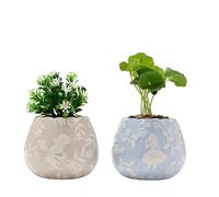 Disney Alice au pays des merveilles Lot de 2 mini pots de fleurs avec plantes artificielles