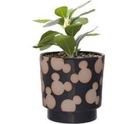 Widdop Disney Mickey Shapes Pot de fleurs Noir
