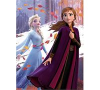 Disney La Reine des Neiges 2 Couverture Polaire Anna et Elsa Nature 100 x 140 cm