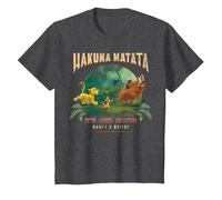 Disney Le Roi Lion Hakuna Matata C'est notre devise Photo de groupe T-Shirt, Enfant, Chiné Foncé, 3 ans