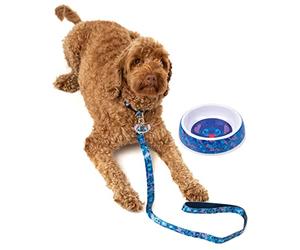 Disney Lilo and Stitch Pet Gift Sett Blue Plomb Collier d'eau de Nourriture