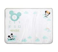 Disney Mickey and Minnie Mouse Milestone Blanket and Marker
