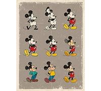 Disney Mickey Mouse (Evolution) 40 x 50 cm Toile Imprimée