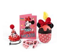 Disney Minnie Mouse Ensemble de décoration d'anniversaire et d'accessoires pour animal domestique avec chapeau, nœud, jouet à gâteau et carte d'anniversaire