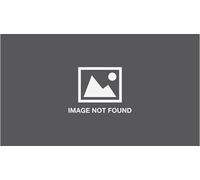 Disney Movie Collection: Tangled: A Special Disney Storybook Series