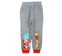 Pantalon de Jogging Garçon Dragon Ball Z, Confort et Liberté de Mouvement, Design Héroïque et Stylé