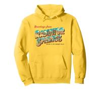 Disney Pixar Cars Greetings from Radiator Springs Portrait Sweat à Capuche