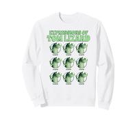 Disney Pixar Hoppers The Expressions Of Tom Lizard Display Sweatshirt