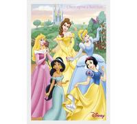 Disney Poster Princess + accessoires Cadre en MDF blanc