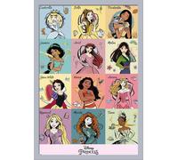 Disney - Poster - Princess brush strokes + cadre amovible, Shinsuke® Maxi MDF argenté, vitre acrylique