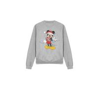 Disney - Sweat - Adulte (TV4809)