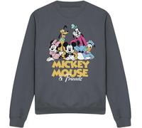 Disney - Sweat-shirt Homme/Femme Unie TV4863 (M) (Charbon de bois)