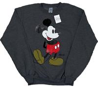 Disney - Sweat-shirt pour homme BI2816 (L) (gris foncé chiné)