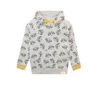 Disney - Sweat-Shirts à Capuche - Lion King - Garçon - Gris - Le Roi Lion,3-4 ans,Gris