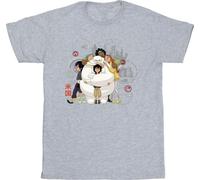 Disney - T-shirt "Big Hero 6" pour homme BI49350 (4XL) (Gris)