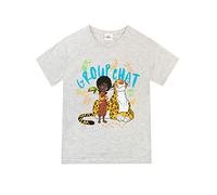 Disney T-Shirt Garçon Encanto Gris 3-4 Ans