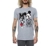 Disney - T-shirt "Jump And Wink" pour homme BI1435 (M) (Gris)