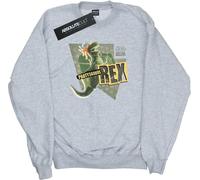Disney - "Toy Story Partysaurus Rex" Sweat-shirt pour femme BI11990 (XL) (Gris chiné)