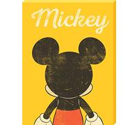 Disney WDC100409 Toile Imprimée, Multicolore, 60 x 80 cm