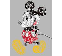 Disney WDC100466 Toile Imprimée, Multicolore, 60 x 80 cm