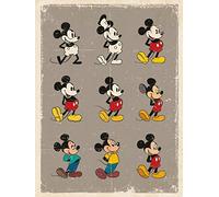 Disney WDC90779 Toile Imprimée, Multicolore, 60 x 80 cm