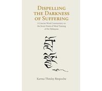 Dispelling the Darkness of Suffering