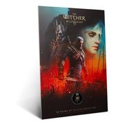 Displate Affiche Métallique The Witcher 3 - Wild Hunt Characters 10th Anniversary - Salle de jeux Déco Maison Chambre Art Moderne - Cadeau - Decoration Murale Metal Poster 32 cm x 45 cm